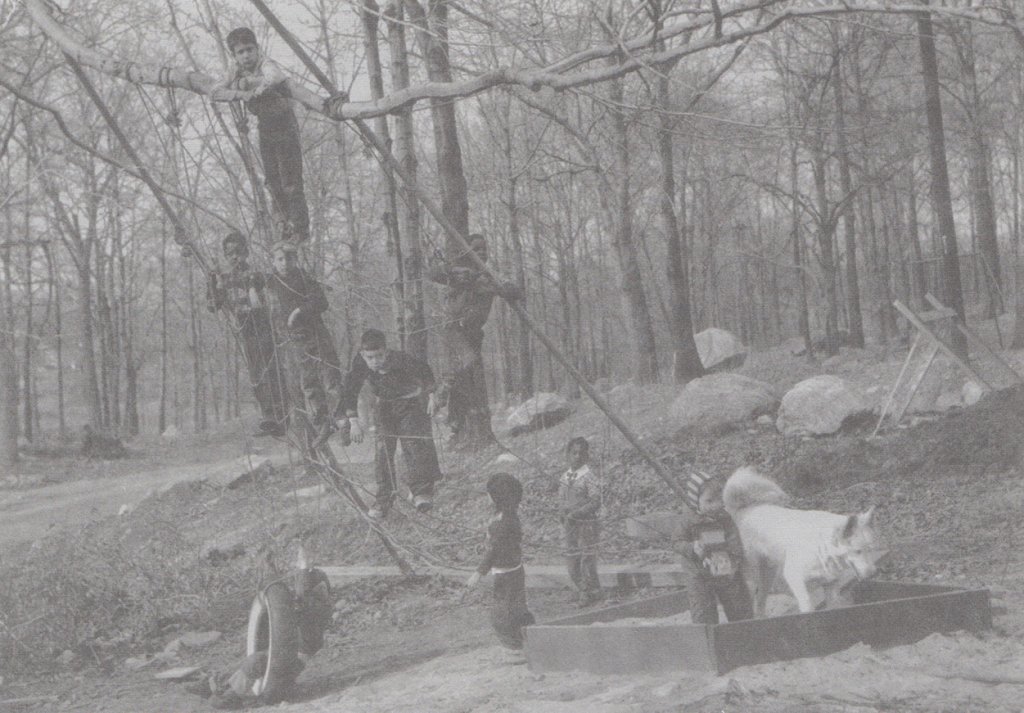 White and Black children play on playground in Village Creek, CT in the 1950s.